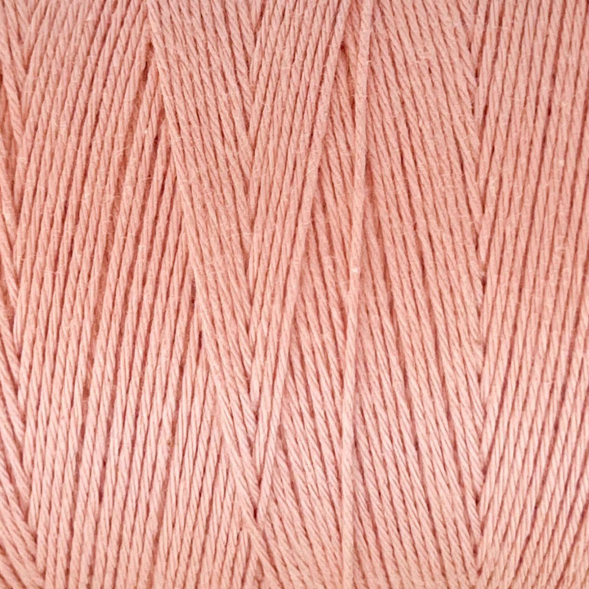 8/4 Cotton Warp Yarn - Small Cone - Natural and Colors